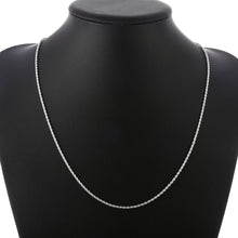 Load image into Gallery viewer, Super Shiny Silver