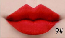 Load image into Gallery viewer, Matte Lipstick Tint